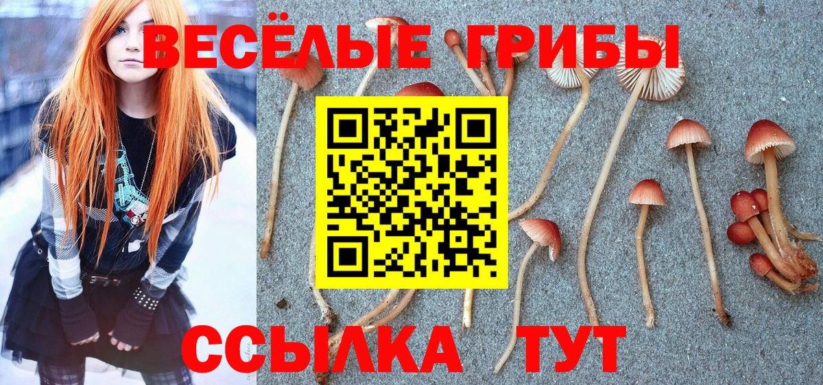 Санкт-Петербург  Псилоцибиновые грибы MAGIC MUSHROOMS  Вход с VPN 